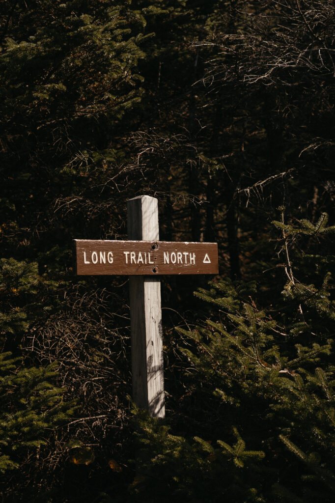 A photo of the Long Trail North sign against pine trees. 