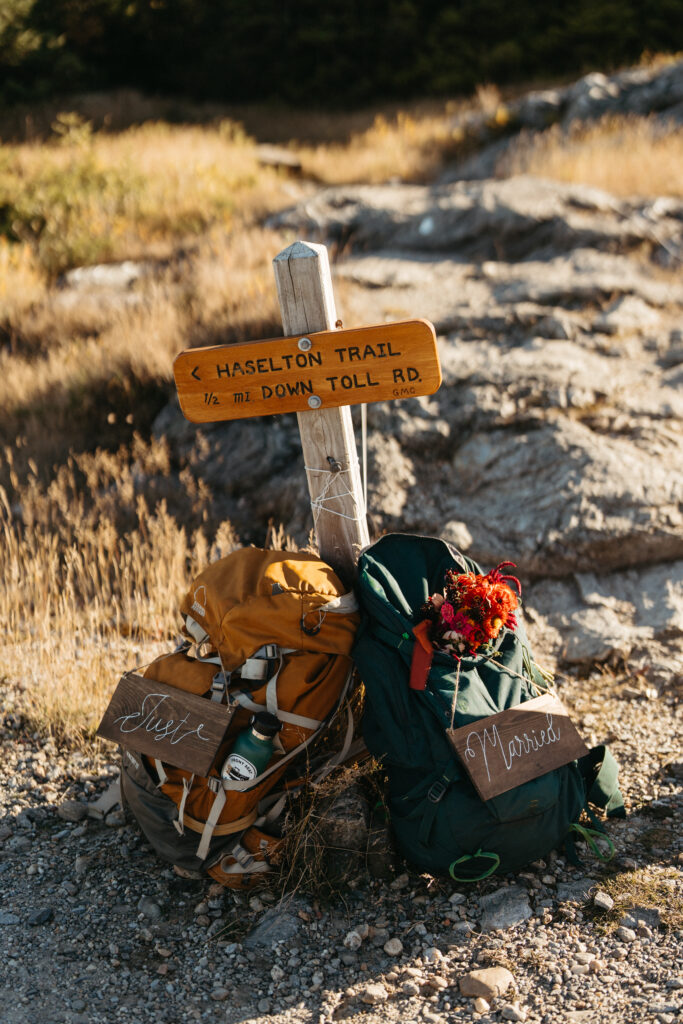 The couples backpacks with "just" and "married" signs on them in front of a trail sign. 